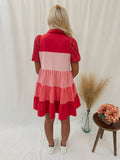 Lindsey Color Block Dress-Pink