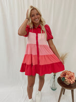 Lindsey Color Block Dress-Pink